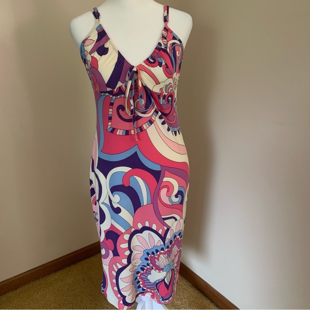 Velvet Torch Los Angeles Pink Purple Blue Midi Dress Size Large NEW